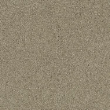 Fossil