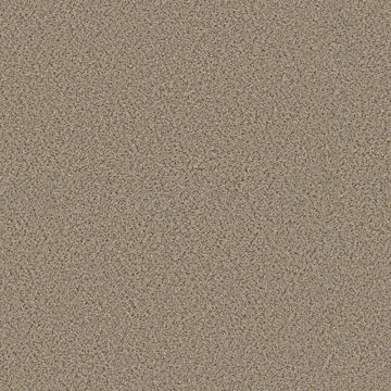 Pixels