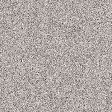 Whitewash