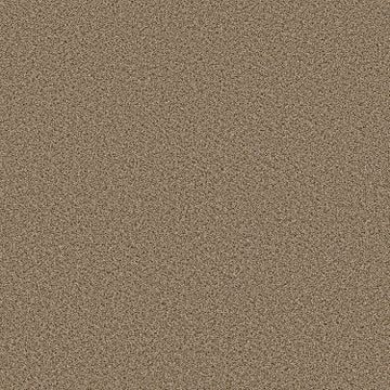 Bridle Leather