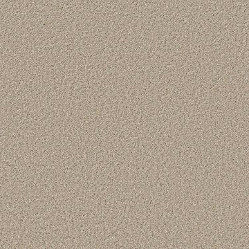 Sea Floor