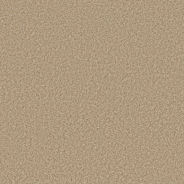Desert Sand