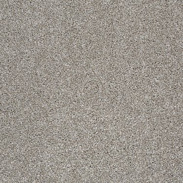 Always Ready II in Carpet Flooring