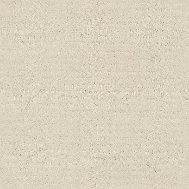 Alluring Disposition in Carpet Flooring