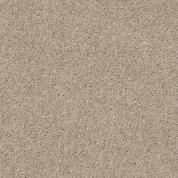 Shifting Sand