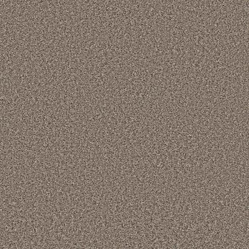 Tempting Taupe