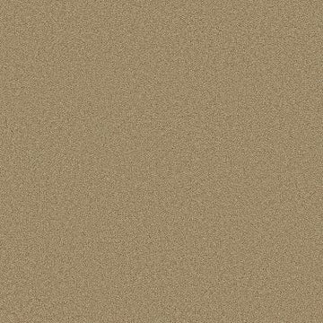 Clay Stone