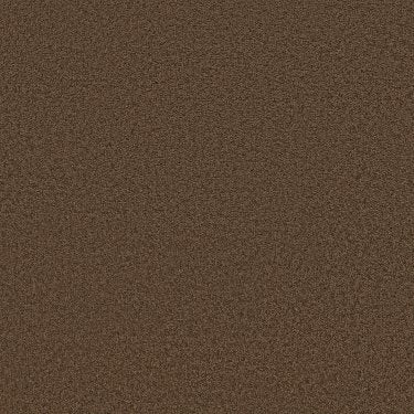 Loyal Beauty IIi In Carpet Flooring