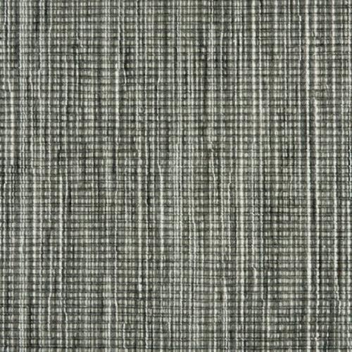 Enlighten in Coal Carpet