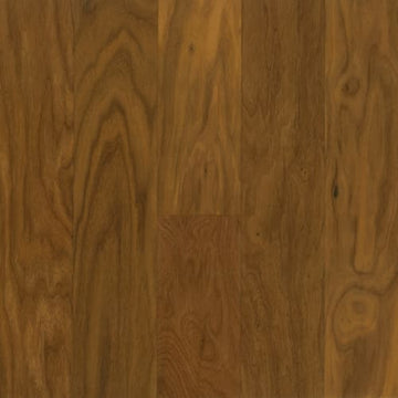 Warm Clay 5 H