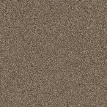 Acorn