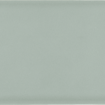 Envy Green Silk 4x9 Trapezoid