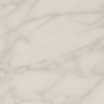 Honesty 12x24 - Polished