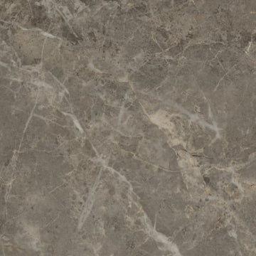 Charm 12x24 - Polished