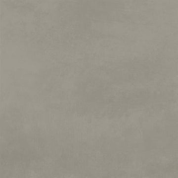 Resident - 12x24 Matte