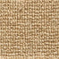 Forester in Beige Carpet