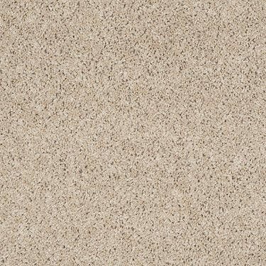Complete Allure (S) in Carpet Flooring