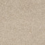 Complete Allure (S) in Carpet Flooring