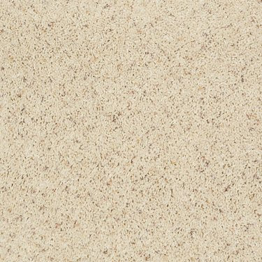 Complete Allure (B) in Carpet Flooring