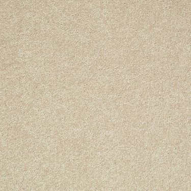 Step Right Up II 12'