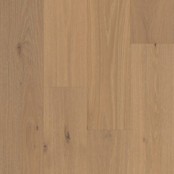Sonoran Oak