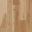 Lattitude - Forest Park Flooring by Mannington