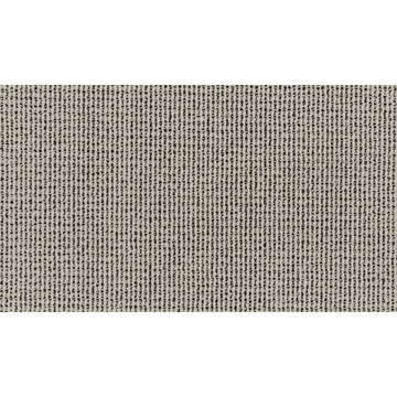 Duplicate