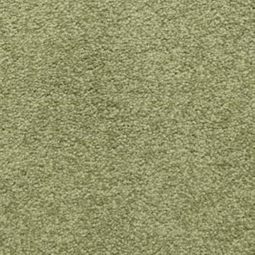 Bay Leaf