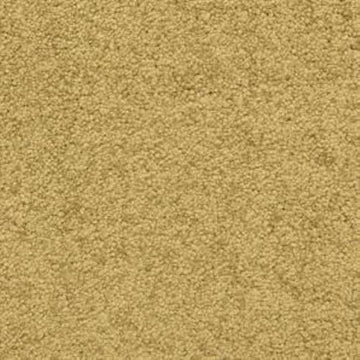Ochre