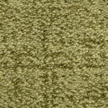 Bermuda Grass