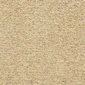 Sand Storm
