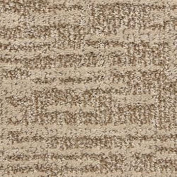 Sandbark