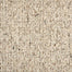 Graham in Earth Carpet