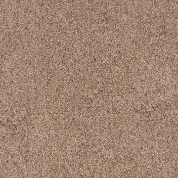 Bark