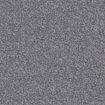 Pumi