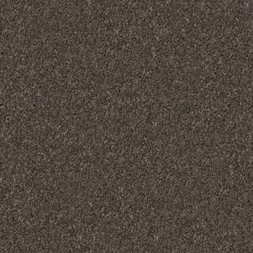 Schnauzer