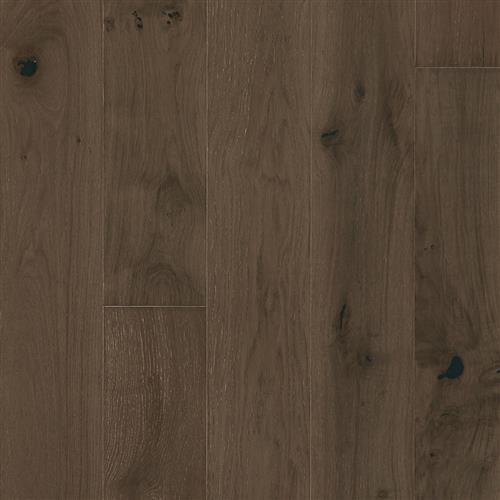 Latitude Collection - Park City