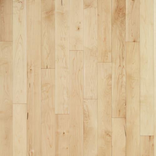 Flex13 - Maple Nuance