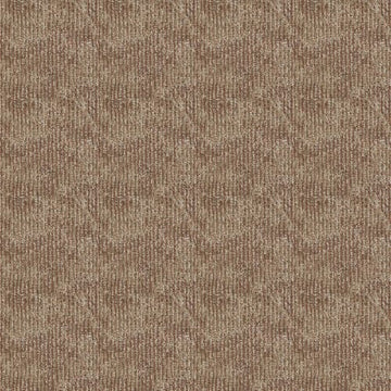 Compound Intere