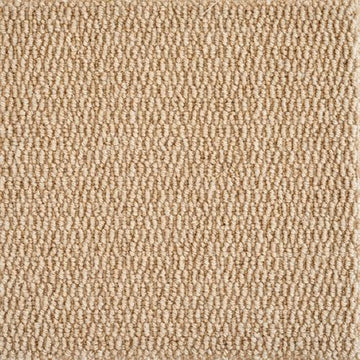 Beige Beach