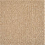 Keystone in Beige Beach Carpet