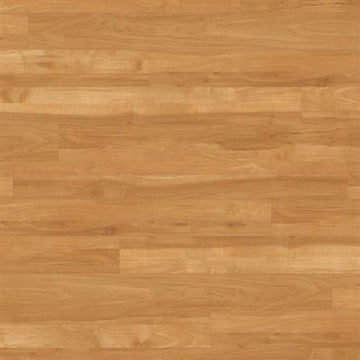 Cedar