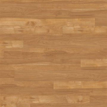 Elm