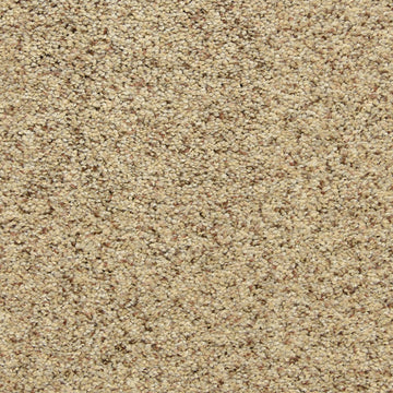 Oatmeal Raisin