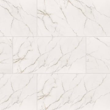 Calacatta Lucca - 12x24 Polished