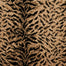 King Tiger in Bronze Carpet