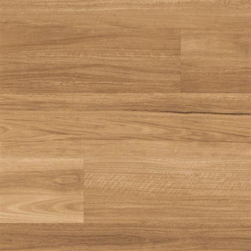 Lemon Spotted Gum