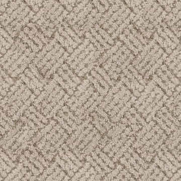 Shell Beige