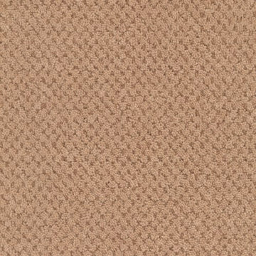 Terra Cotta