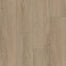 Happy Feet International in Liberty Bound Luxury Vinyl